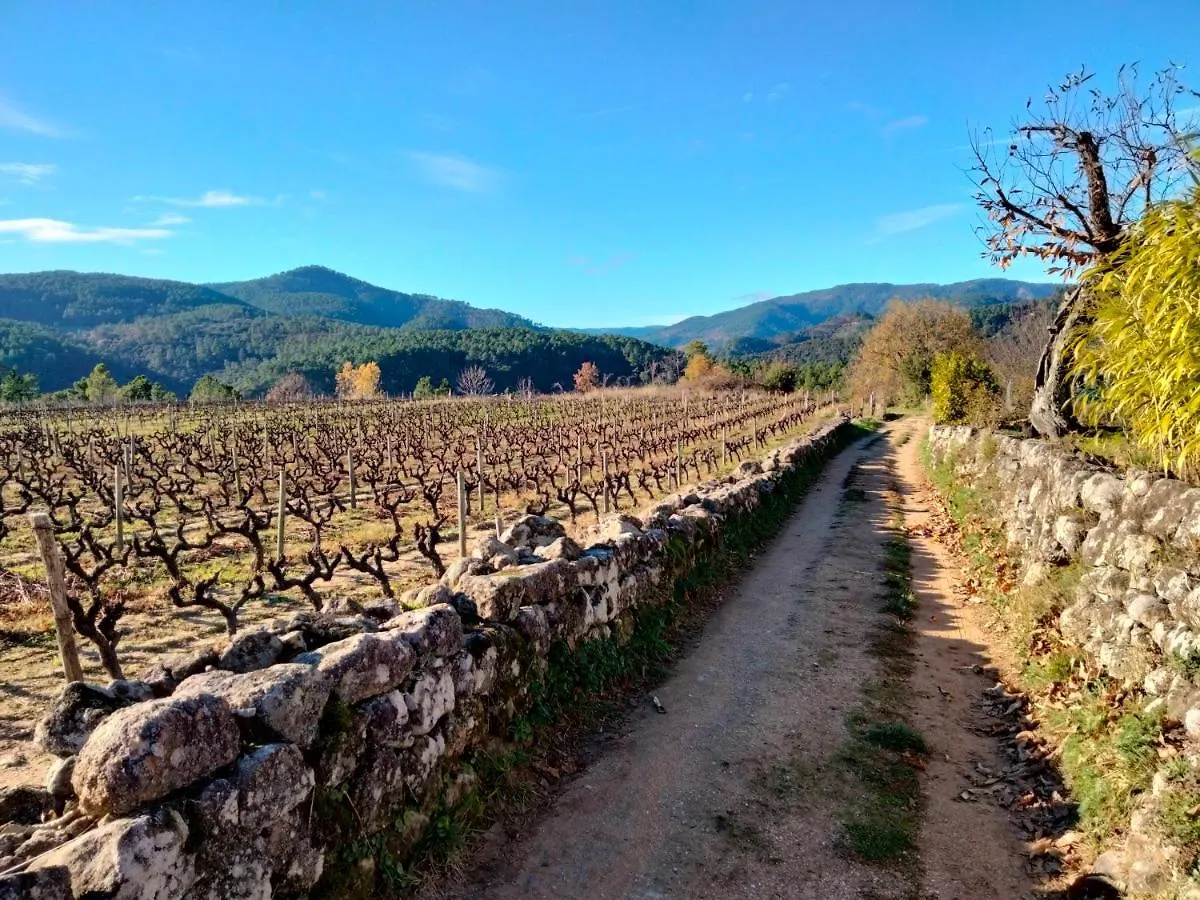 Bed and Breakfast Le Relais Des Bouziges Sanilhac  Francia
